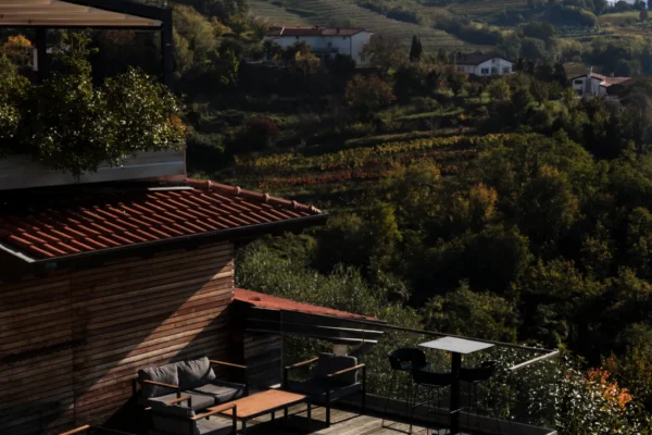 buzinel estate (14)