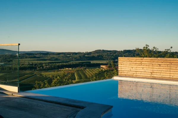 buzinel estate (2)